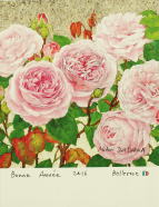 みどり氏のデザイン画アート